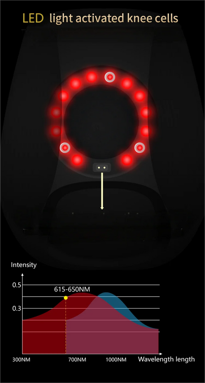 Portable Knee Massager with Heat Therapy